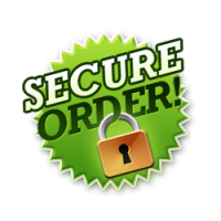 secure